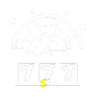  S11
